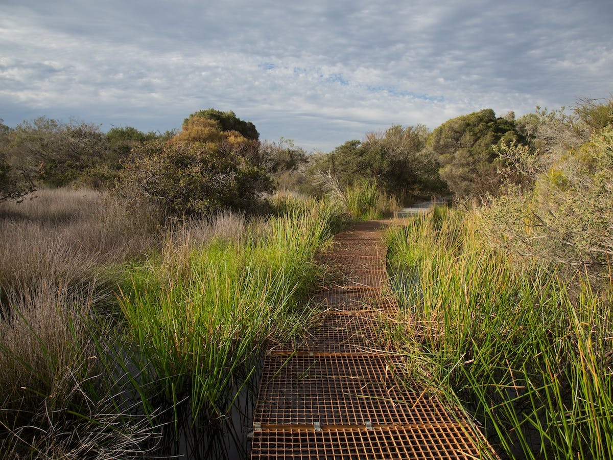 North Head Sanctuary
