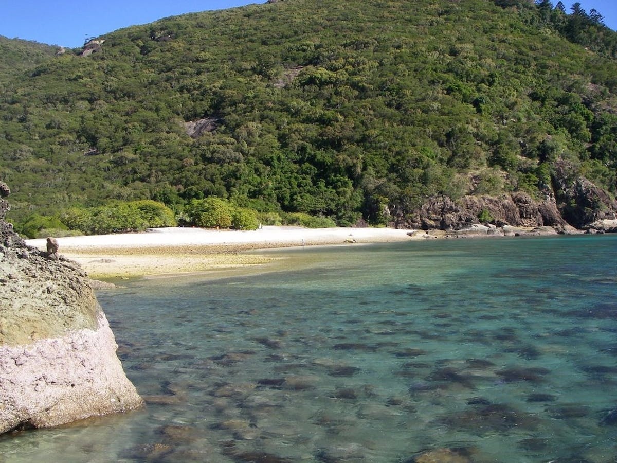 Maureens Cove, Hook Island