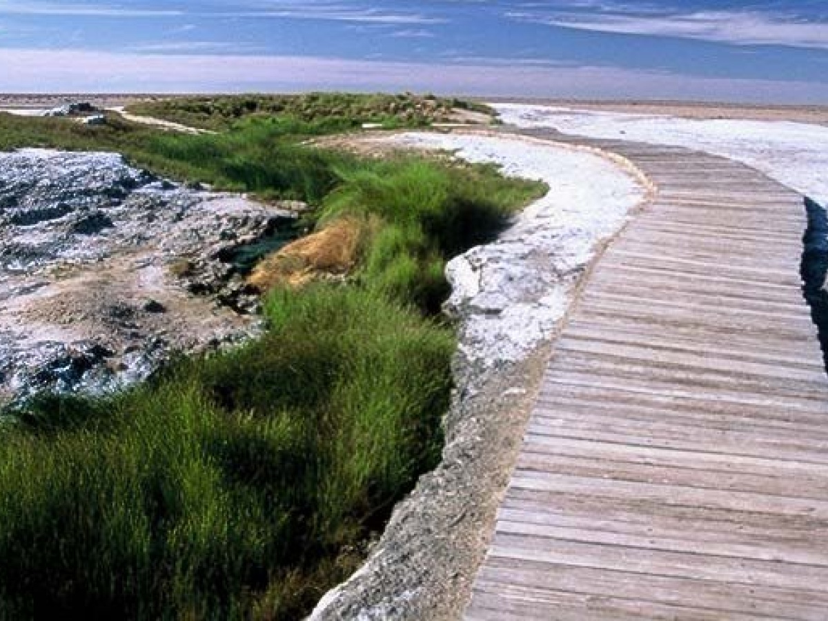 Wabma Kadarbu Mound Springs Conservation Park, Marree