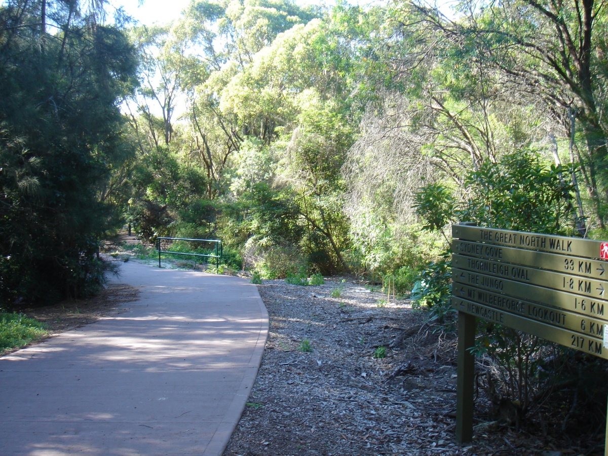 Great North Walk – Ku-ring-gai Chase National Park, Cowan