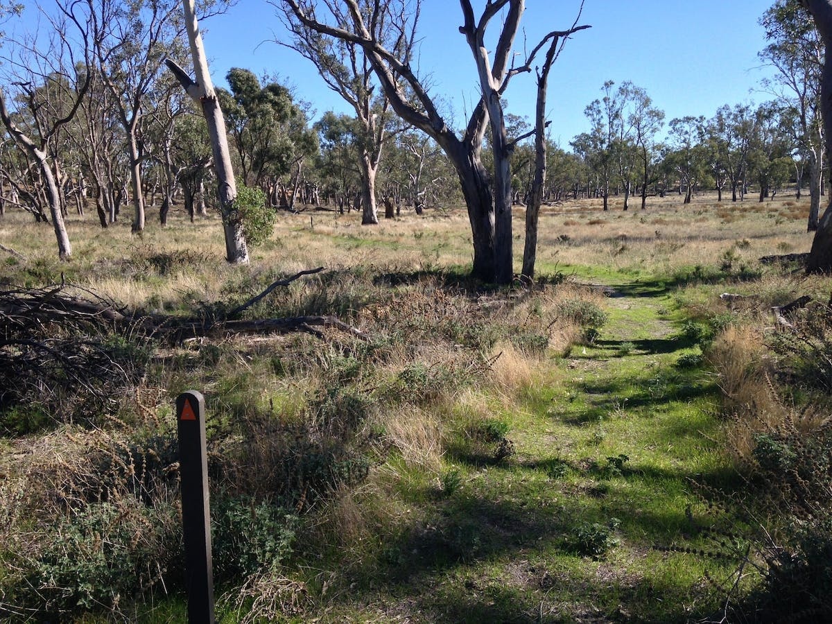 Wyperfeld National Park