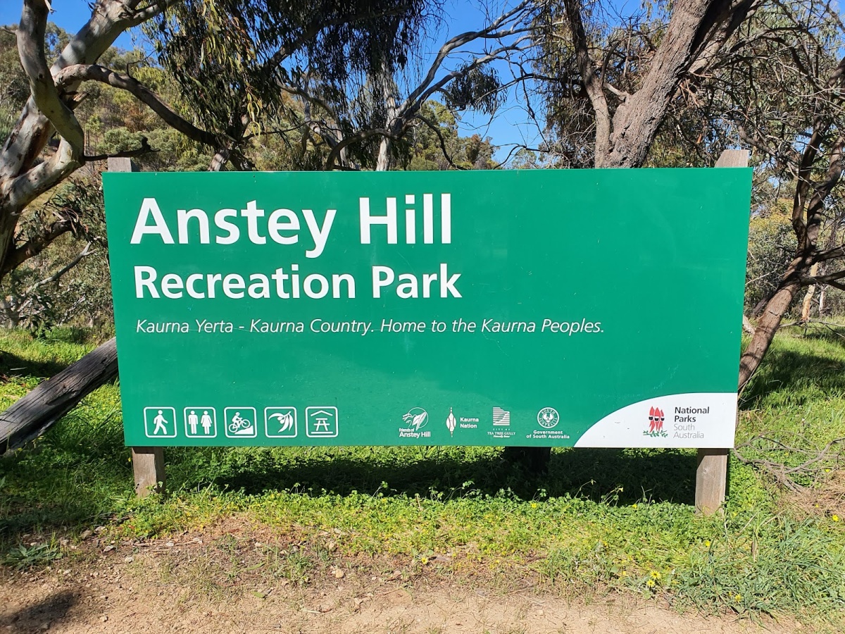 Anstey Hill Recreation Park