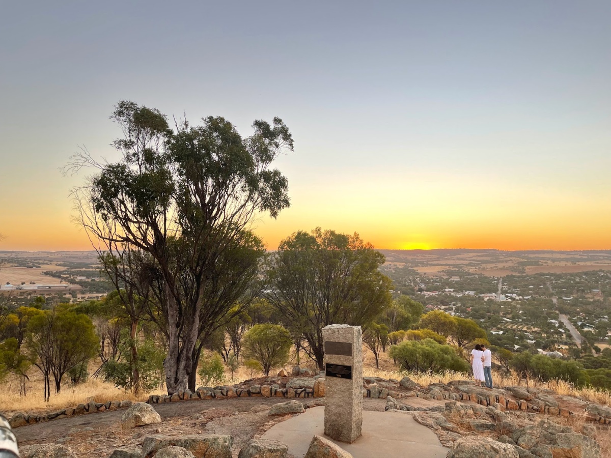 Mount Brown Lookout