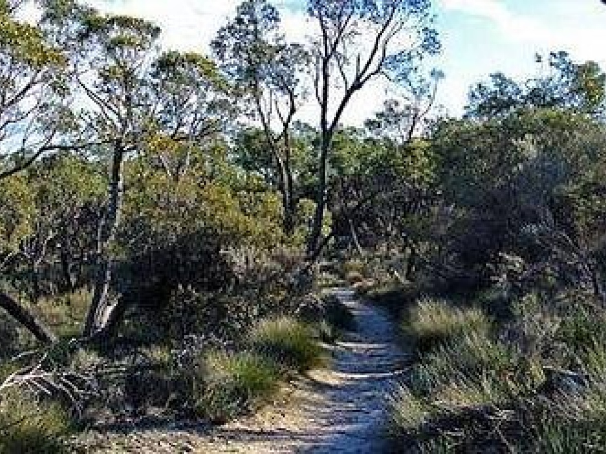 Pomponderoo Hill Lookout