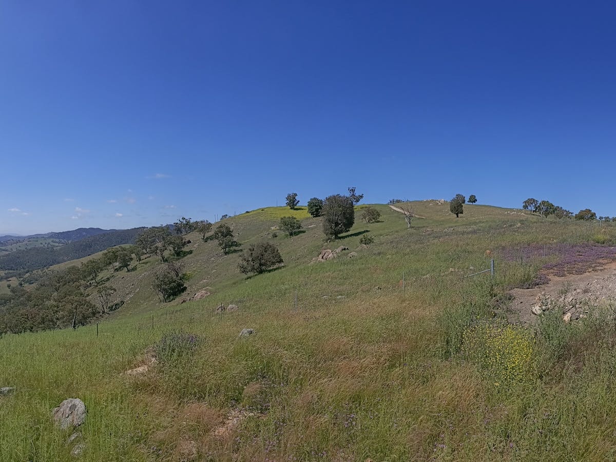 The Bridle Track: Root Hog Road Track, Gowan