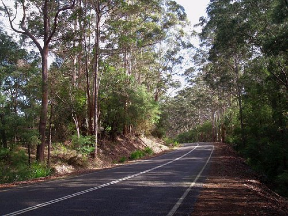 Scotsdale Tourist Drive, Denmark