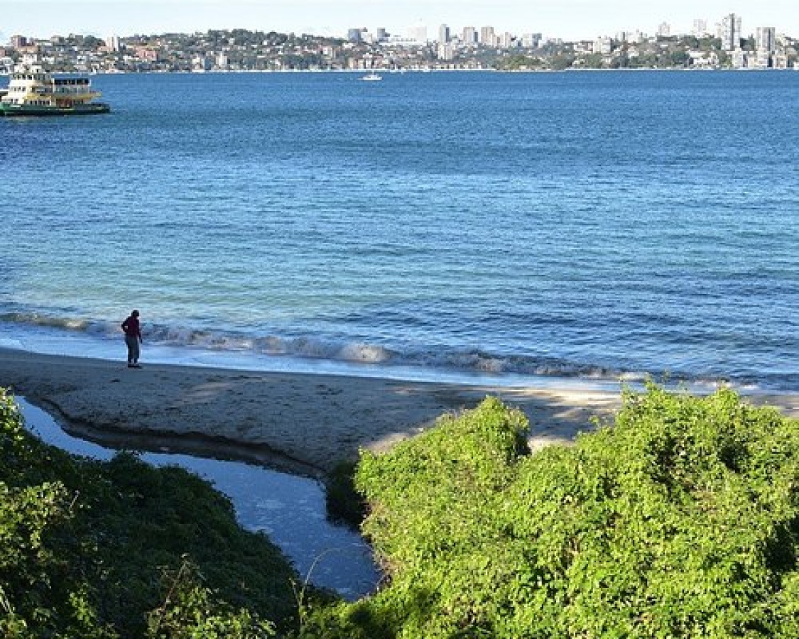 Sirius Cove