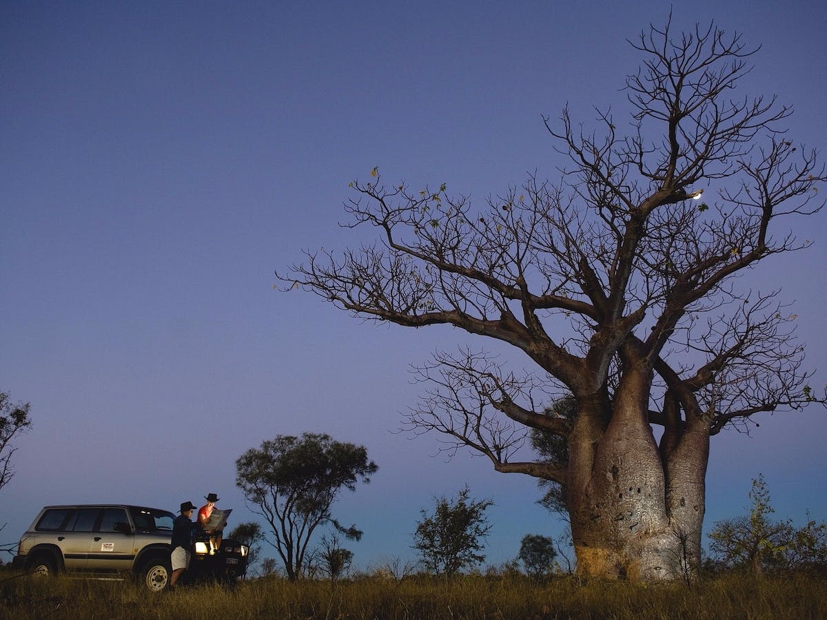 Scenic Drives – Bunbury, Collie, and Donnybrook