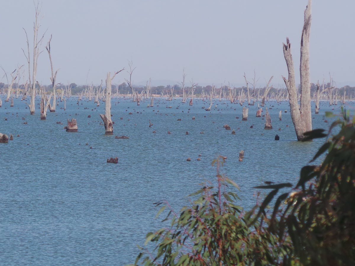 Kyffins Reserve Mulwala