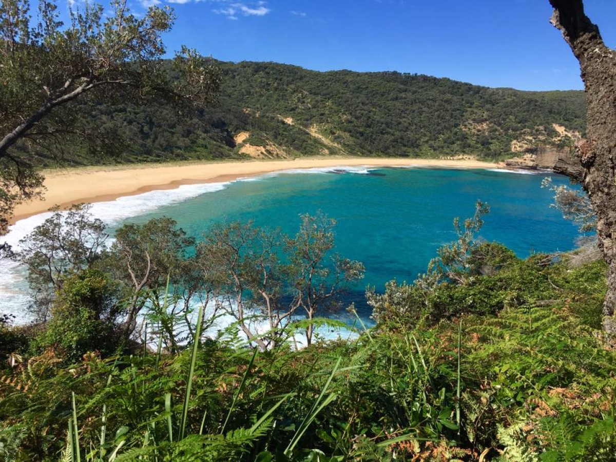 Steamers Beach, Jervis Bay