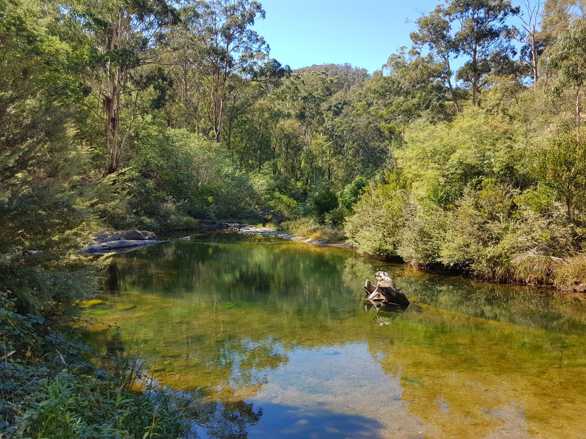 Baw Baw National Park