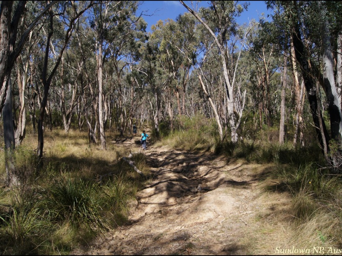 Sundown National Park, Stanthorpe
