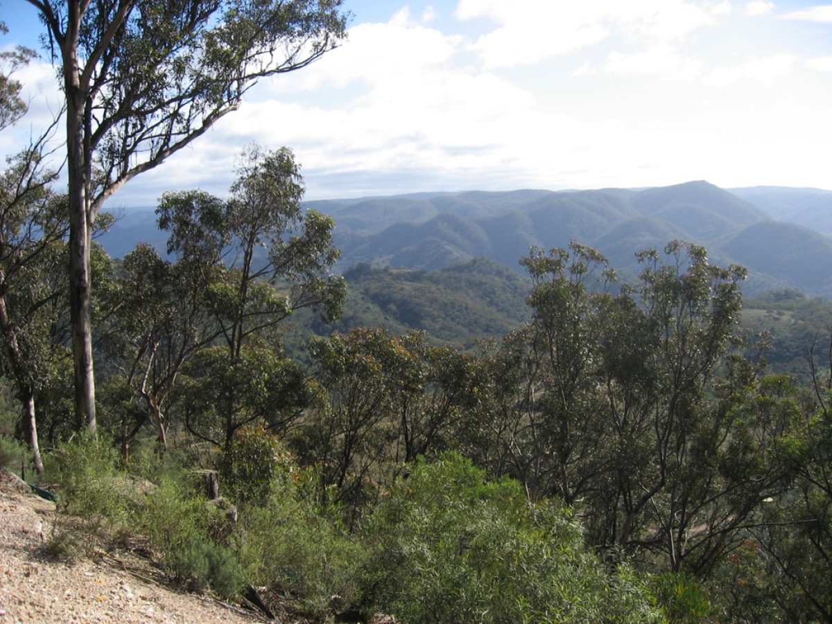 Nattai National Park, Wattle Ridge