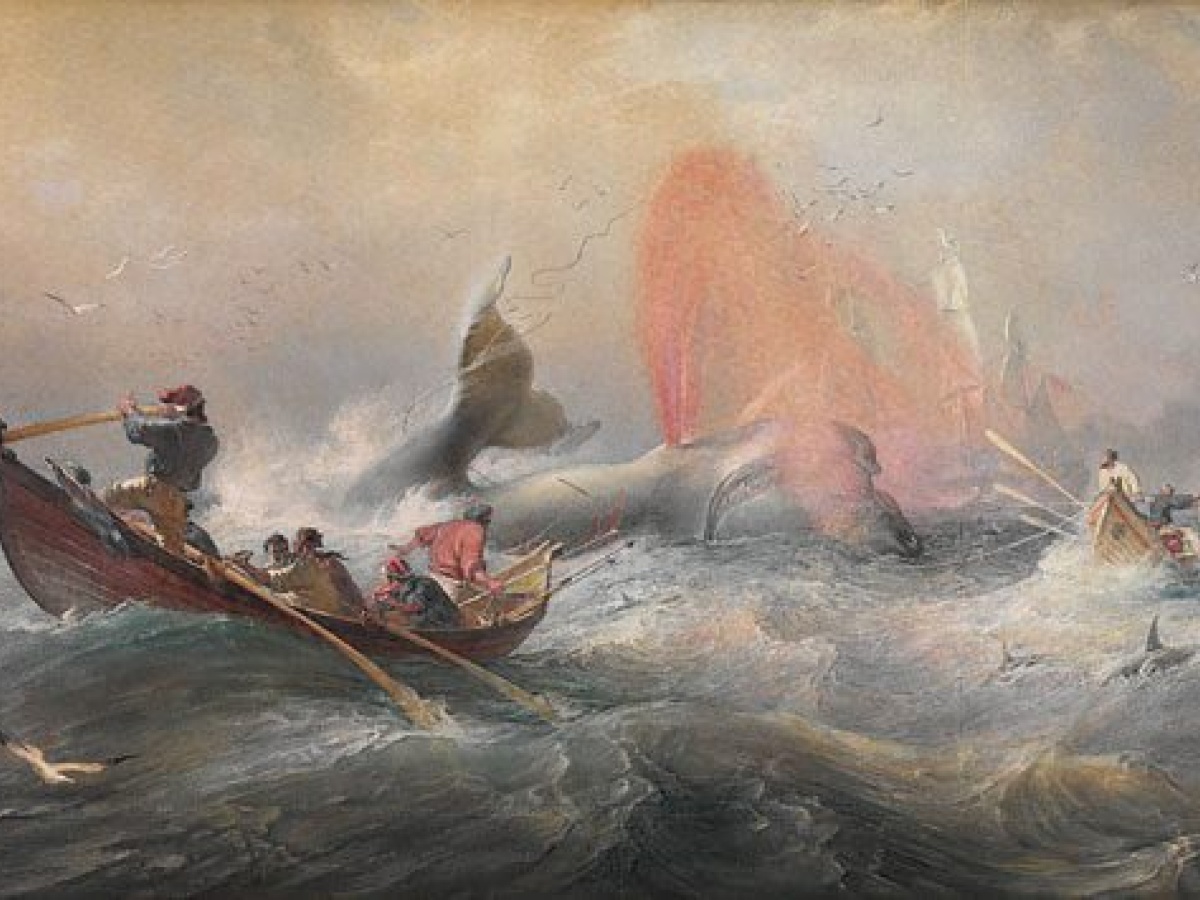 Twofold Bay