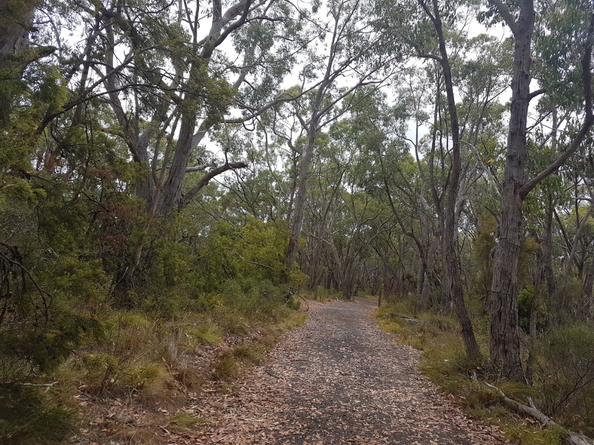 Mylor Conservation Park, Mylor