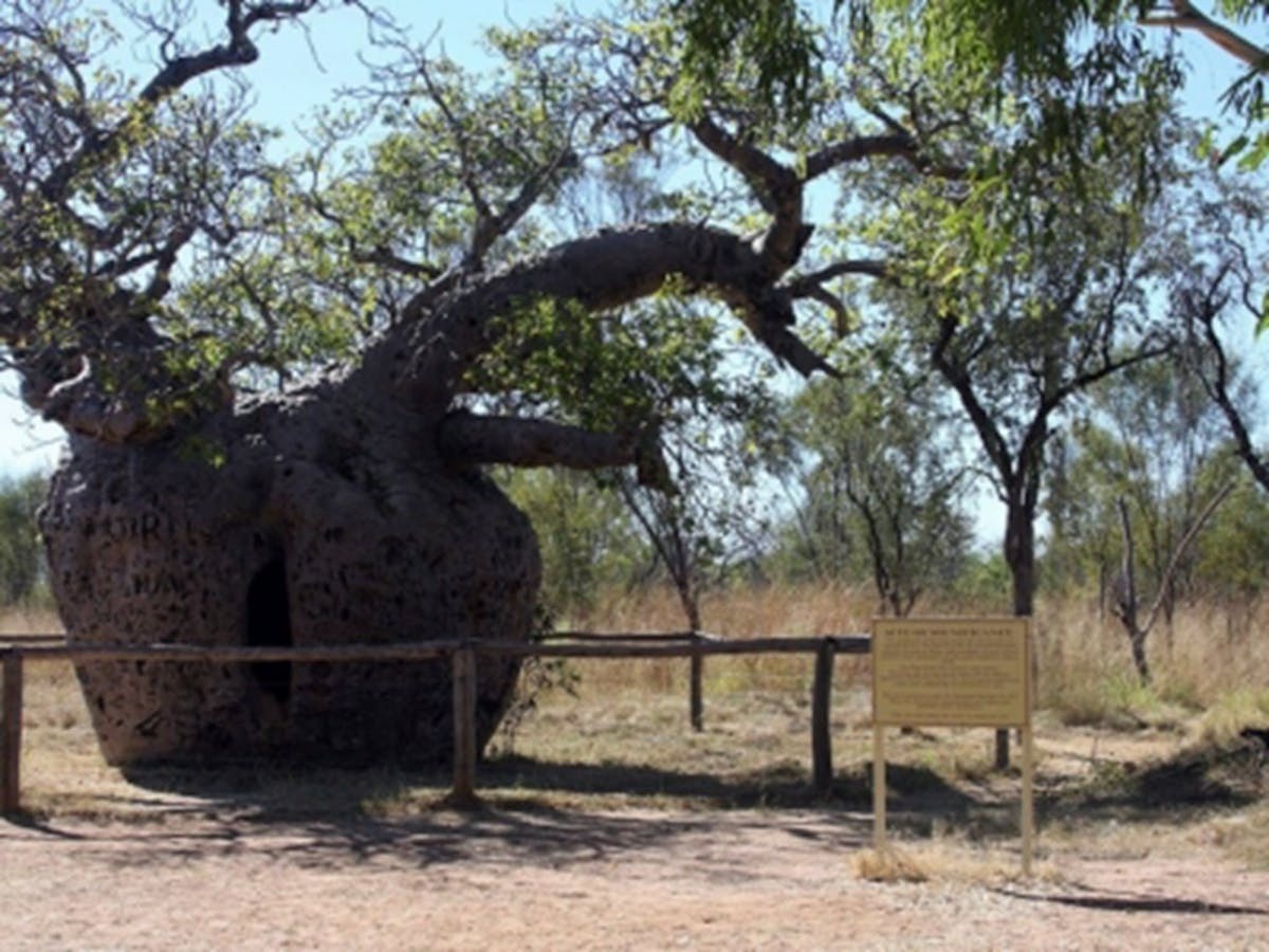 Time Walk, Windjana Gorge National Park