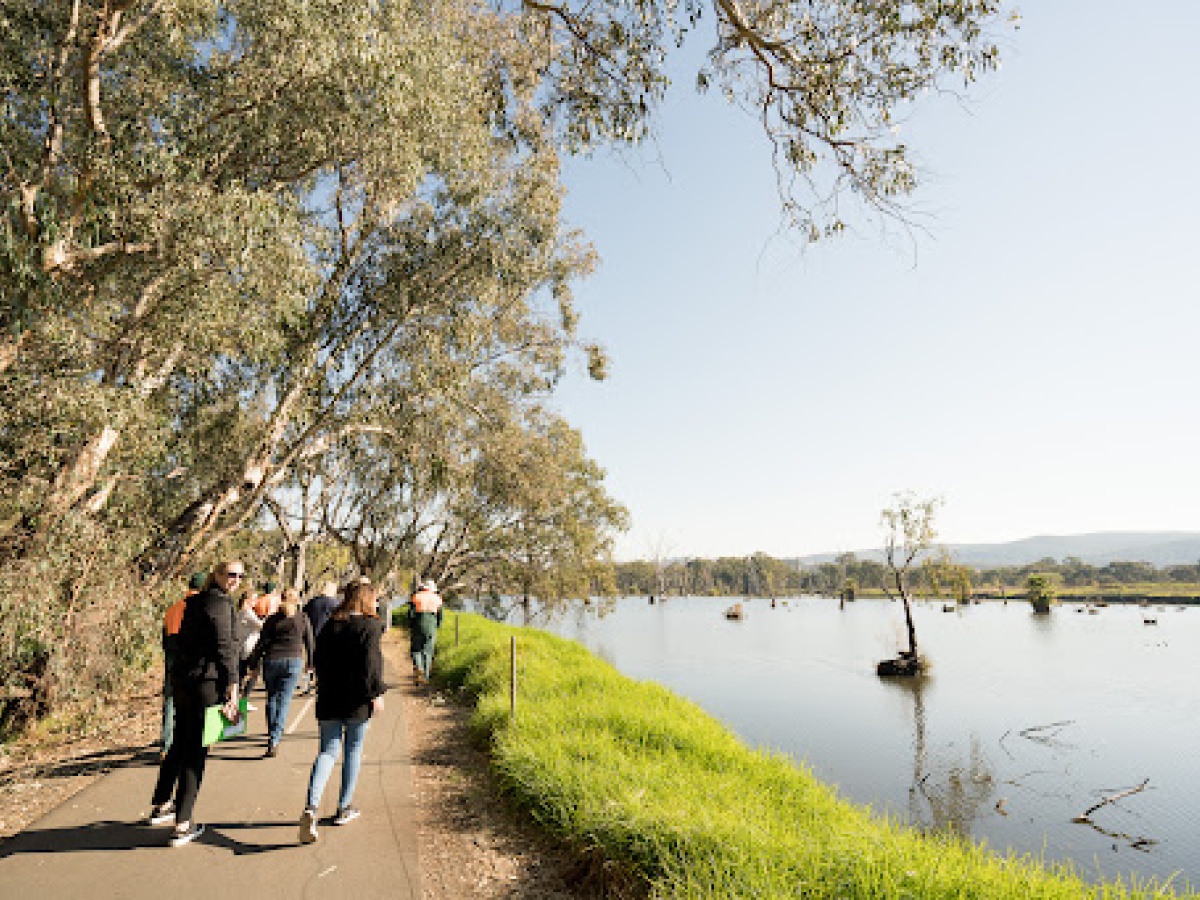 Albury – Murray River Precinct