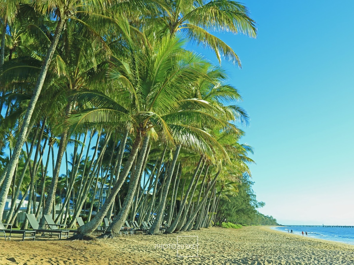 Palm Cove Beach