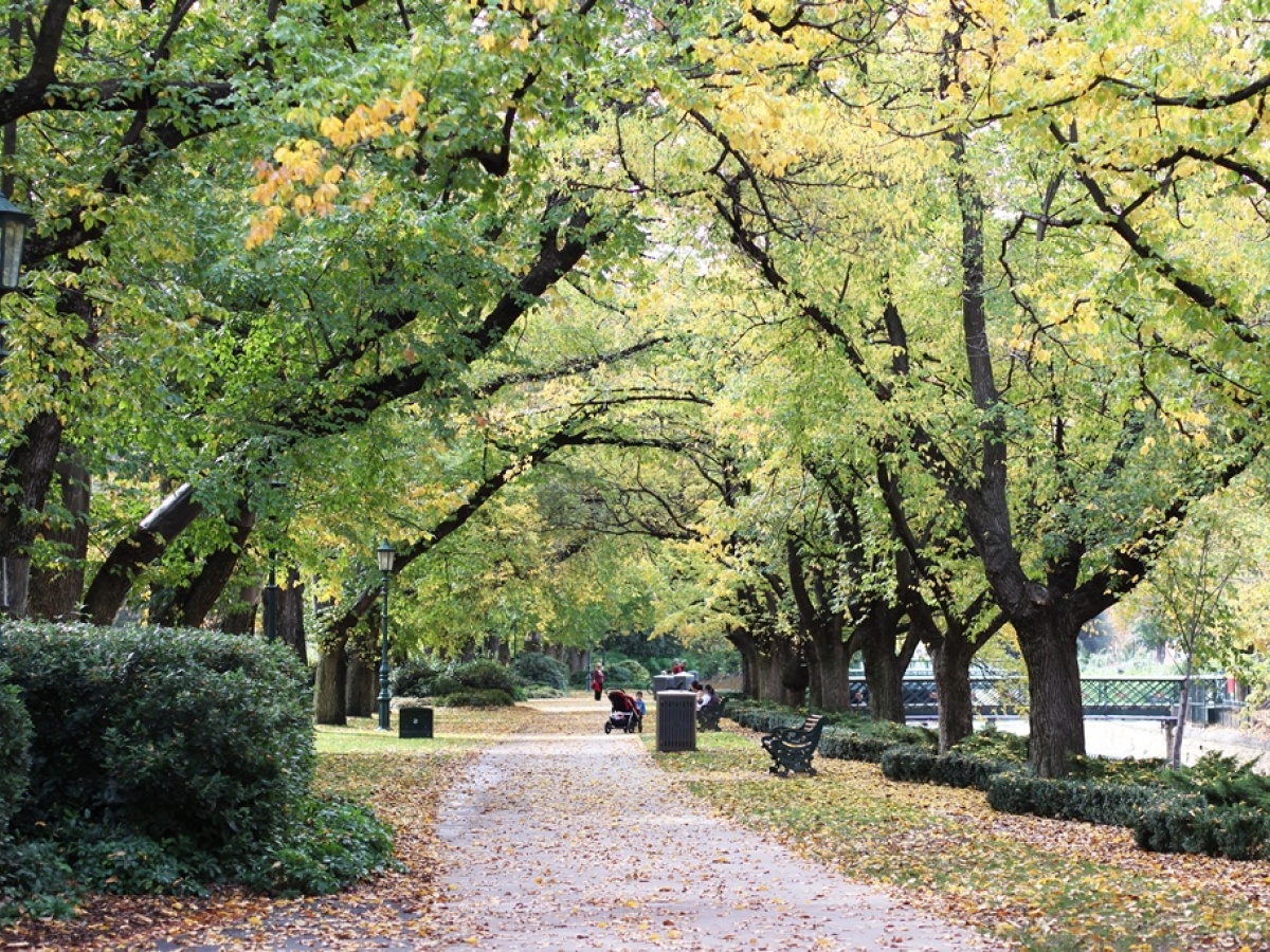 Rosalind Park