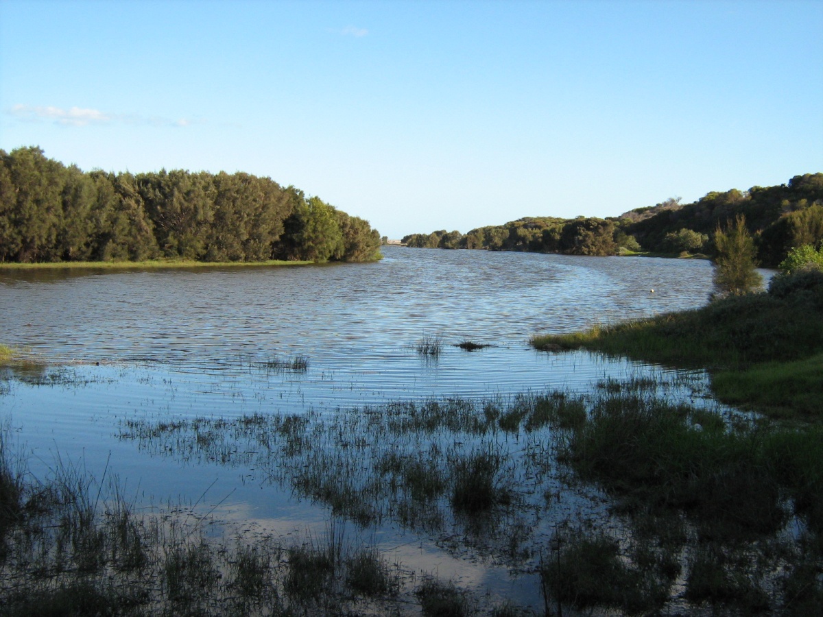Irwin River