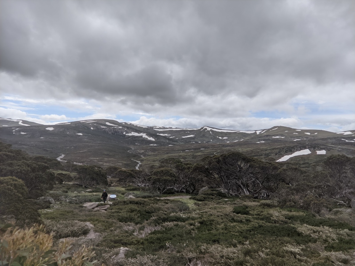 Charlotte Pass lookout