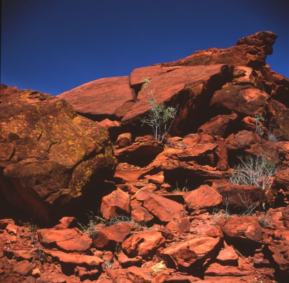 Napwerte / Ewaninga Rock Carvings Conservation Reserve