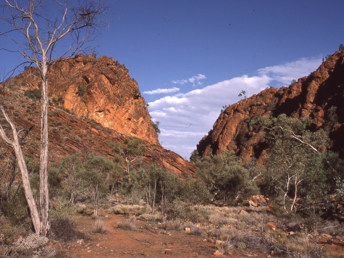 N’Dhala Gorge Nature Park