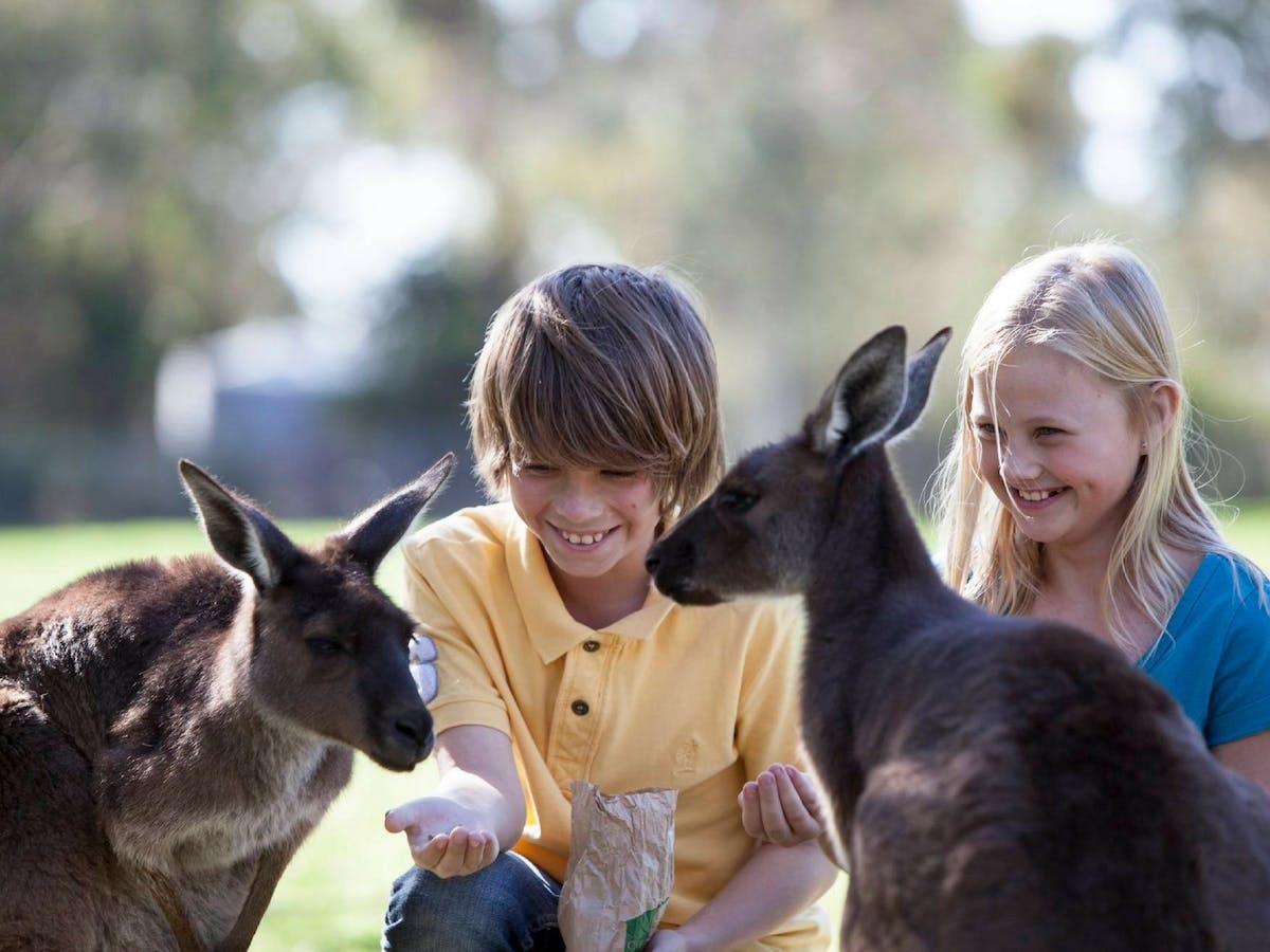 Cleland Wildlife Park