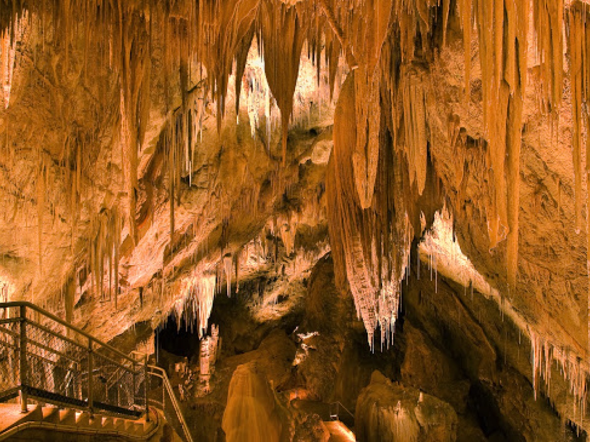 Hastings Caves and Thermal Springs