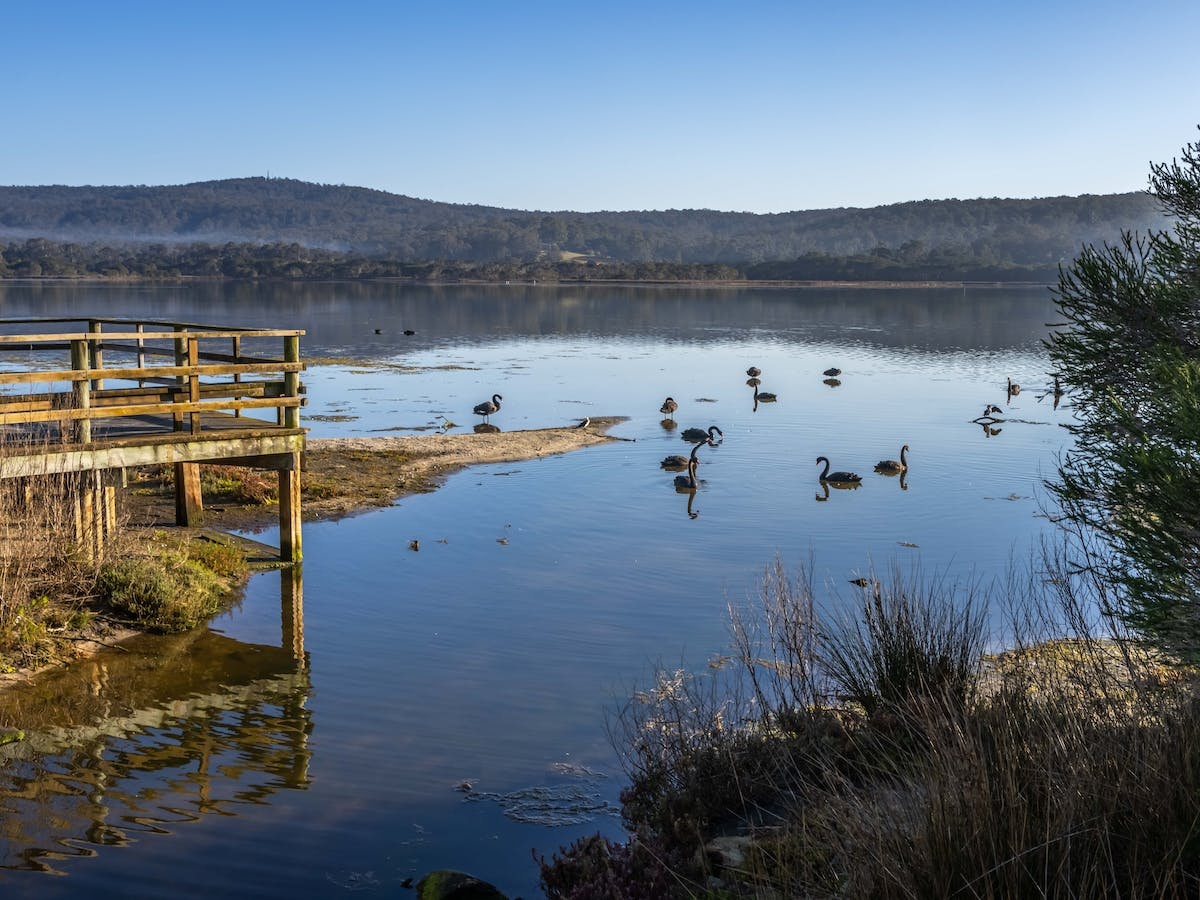 Lake Curalo Boardwalk