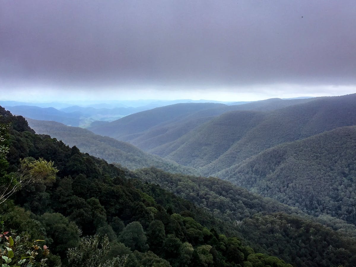 Barrington Tops State Forest