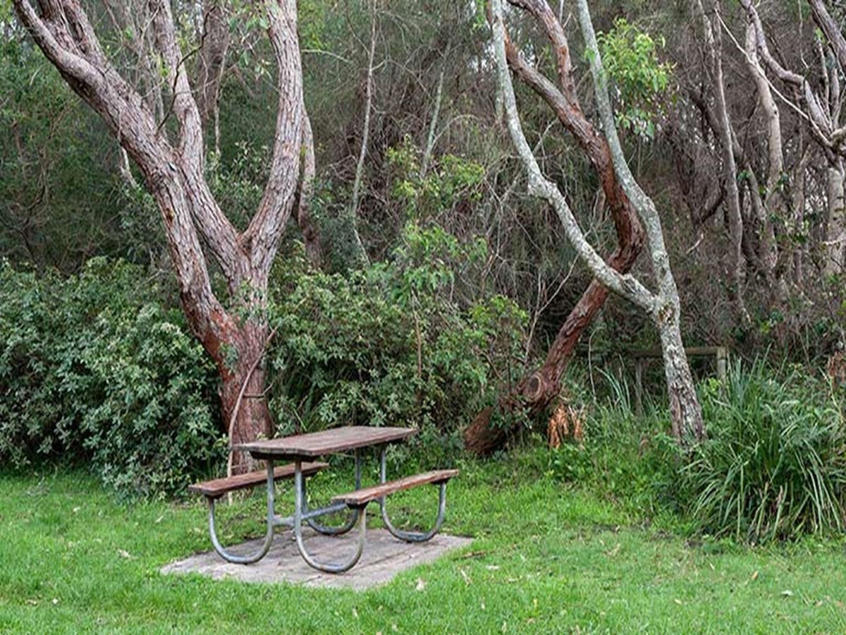 Hammerhead Point picnic area, Beecroft Peninsula