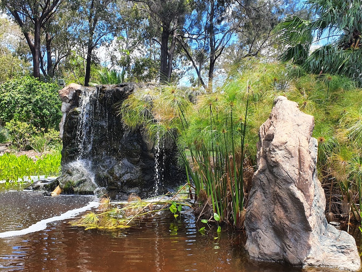 Thomas Jack Park