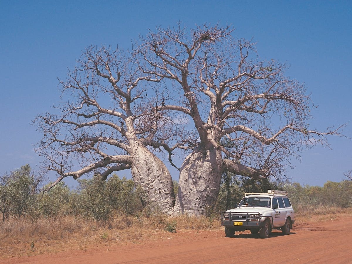 Gibb River Road, Derby