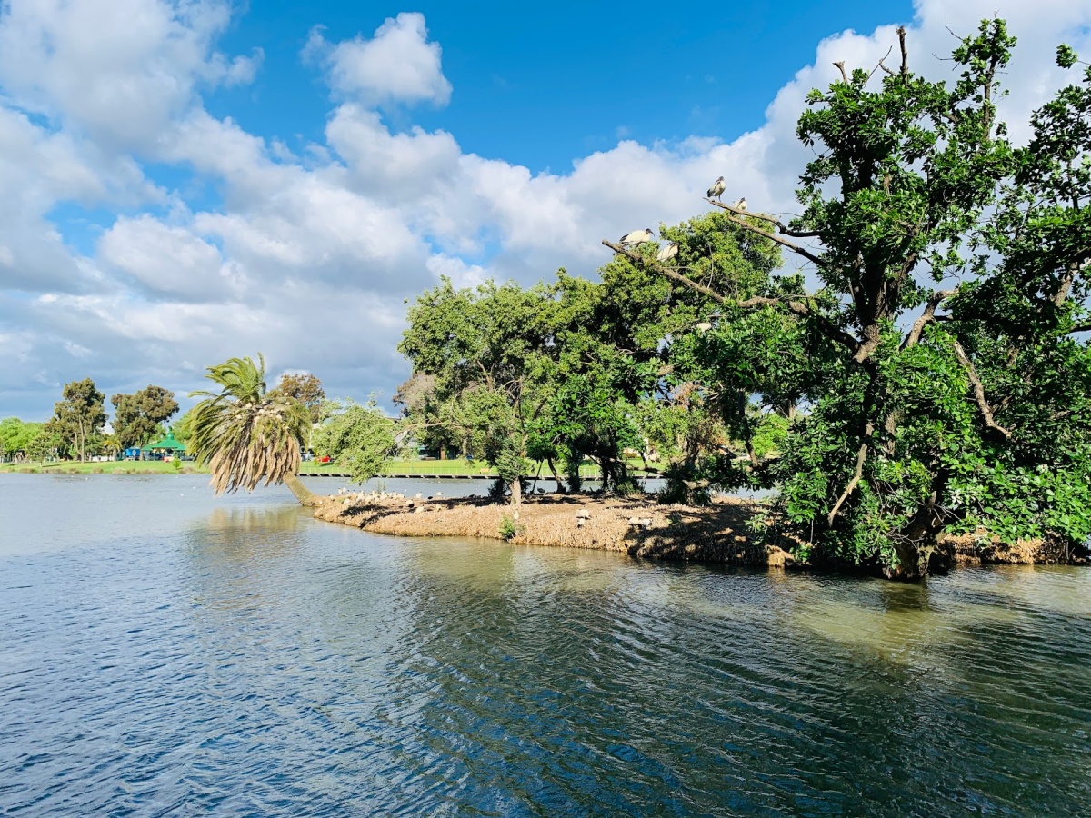 Lake Weeroona