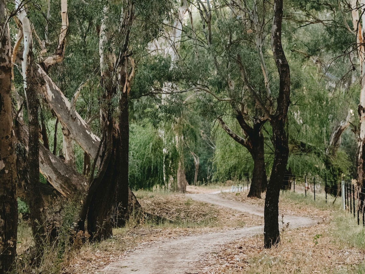 Wiradjuri Trail, Wagga Wagga