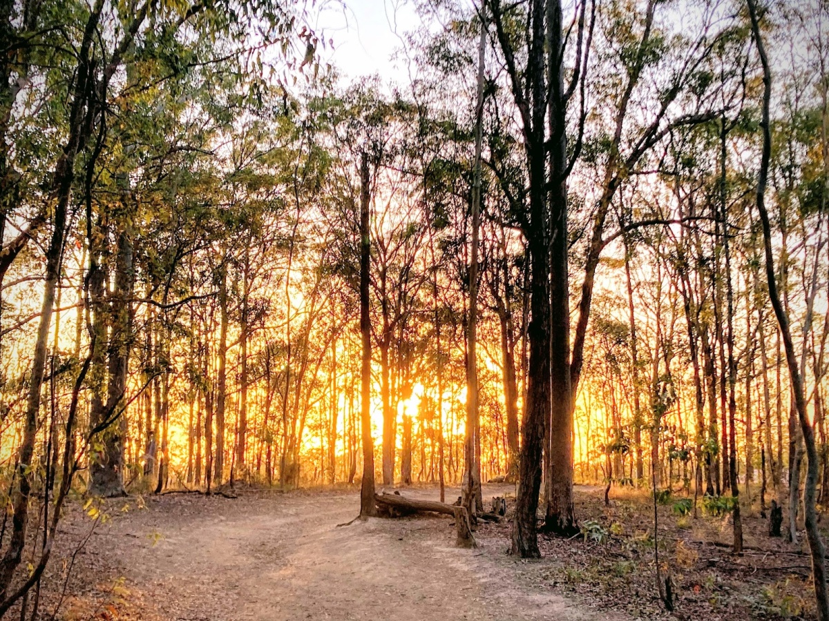 Whites Hill Reserve