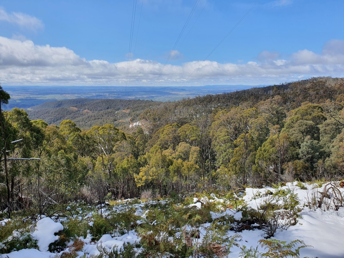 Brindabella National Park - Scoop Digital - Australia's largest ...