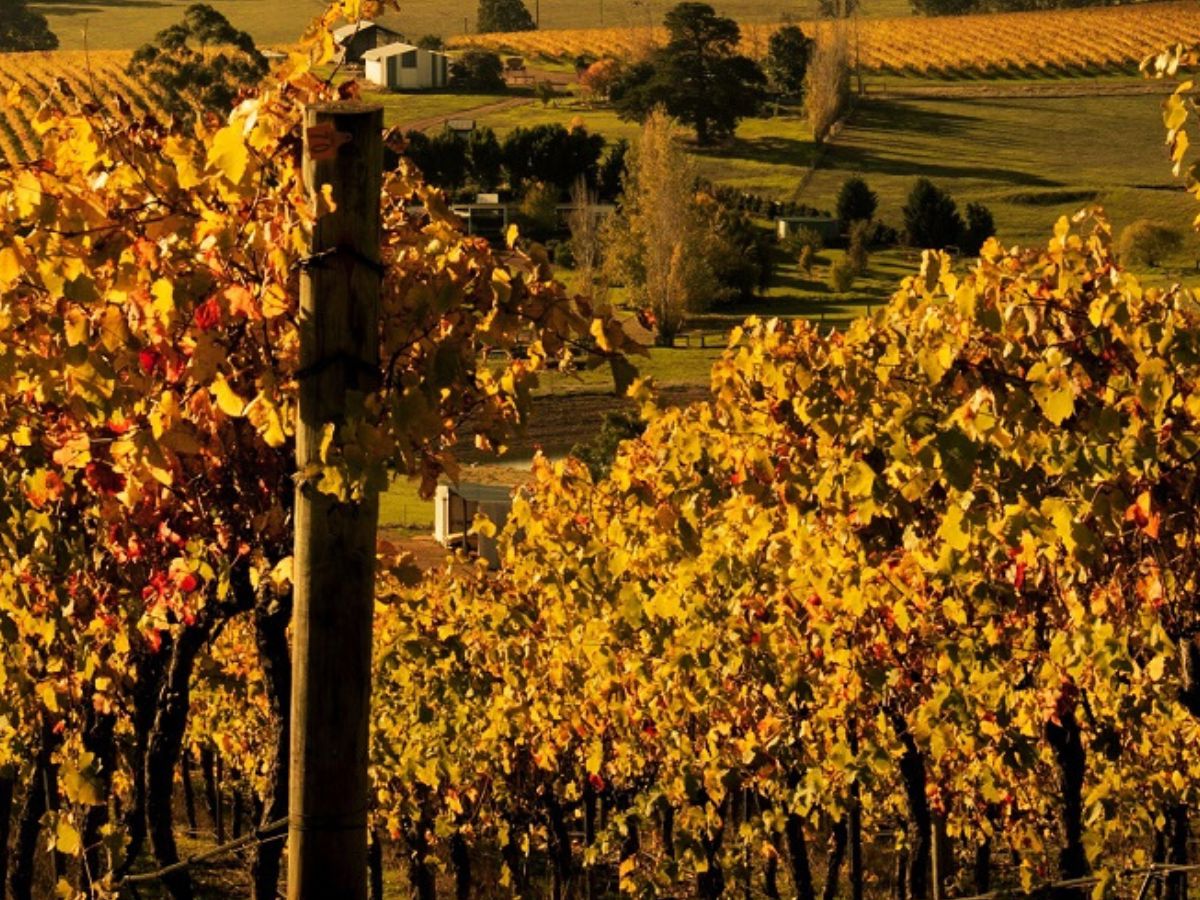 Nannup Ridge Estate