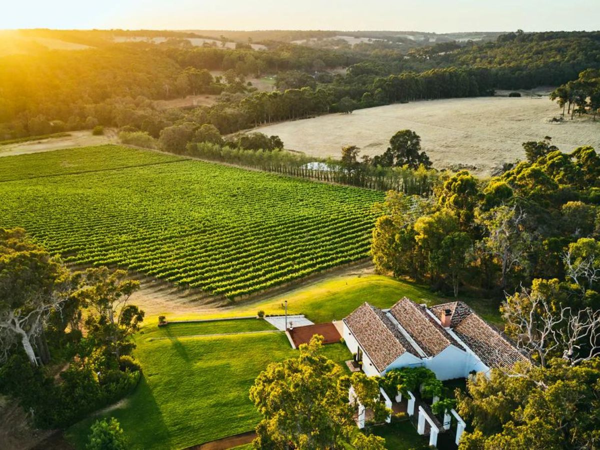 Credaro Wines
