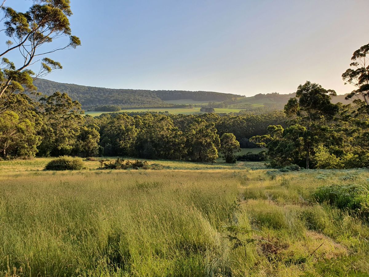 Little River Farm