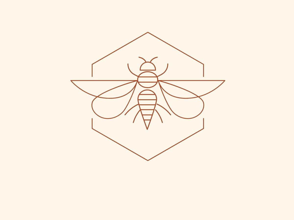 The Hive Studio Bridgetown
