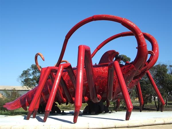 Big Western Rock Lobster