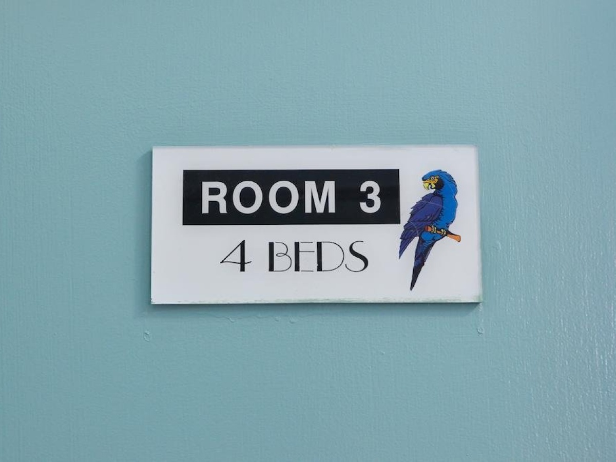 Blue Parrot Backpackers photo