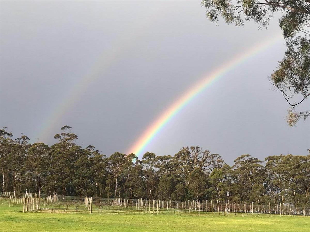 Rockcliffe Wines