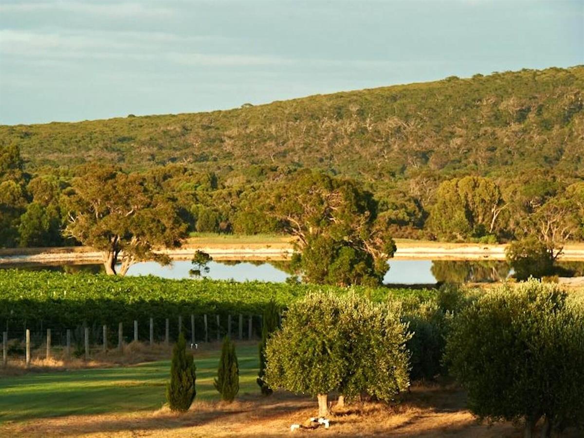 Kelly’s Vineyard & Della Fay Wines, Yallingup