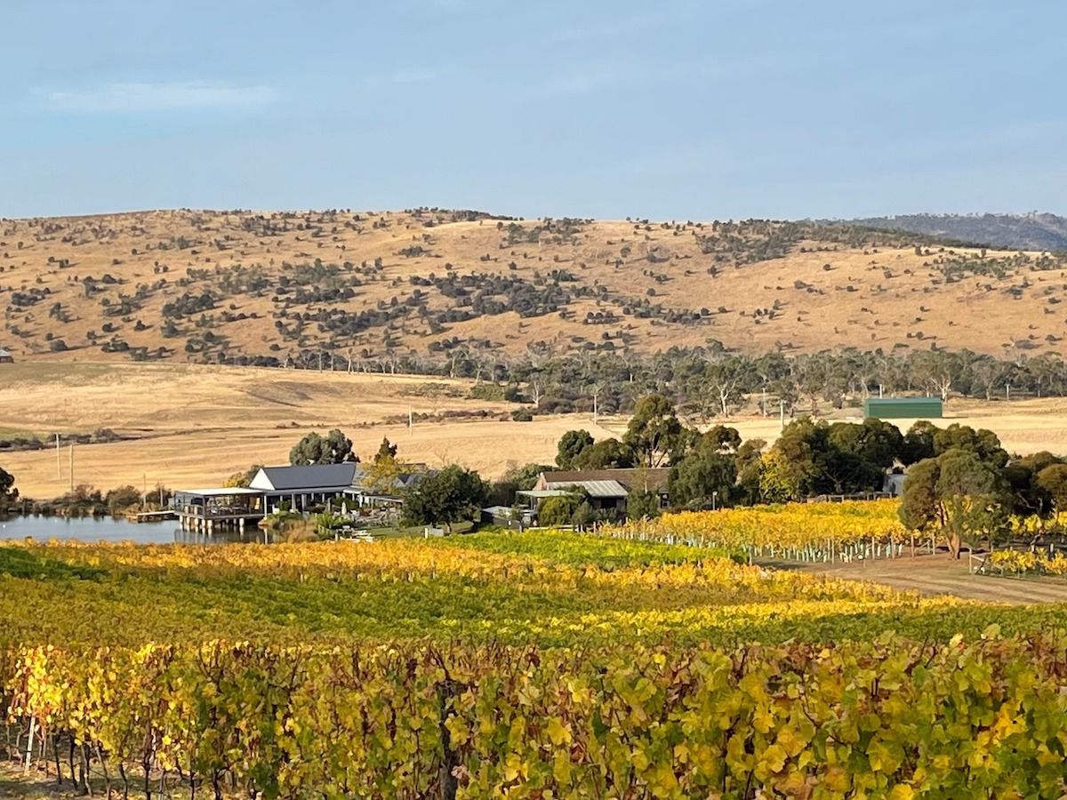 Puddleduck Vineyard