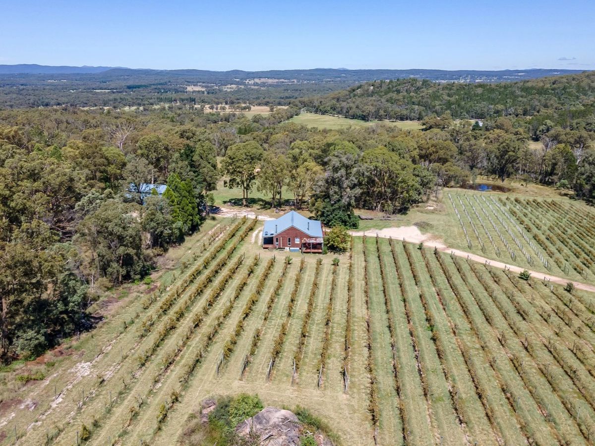 Ravenscroft Vineyard