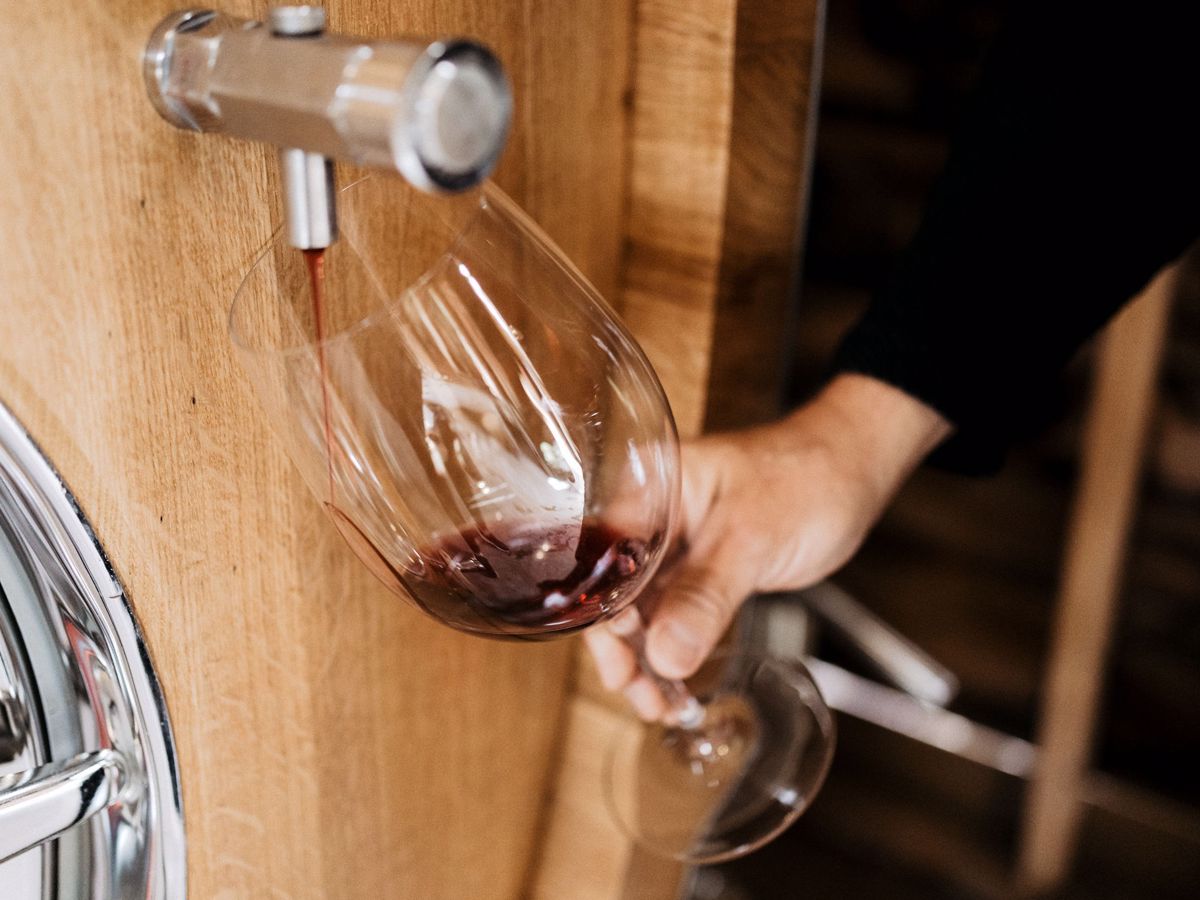 Paul Nelson Wines