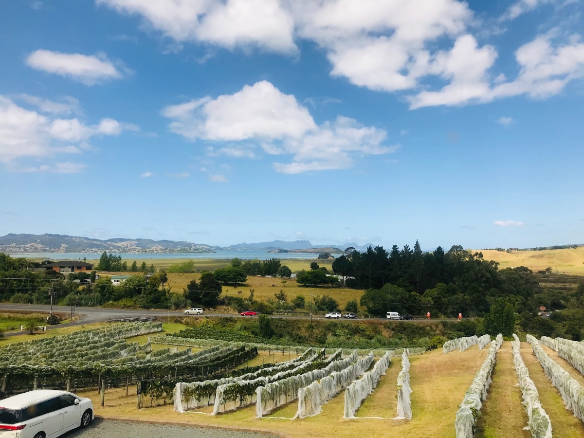 Longview Estate Scoop Digital Australia s Largest Lifestyle longview-estate-scoop-digital-australia-s-largest-lifestyle